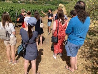 Half-day winery tour with wine tasting and tapas
